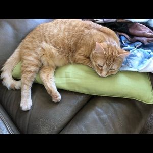 Meet your Posher, Lorraine